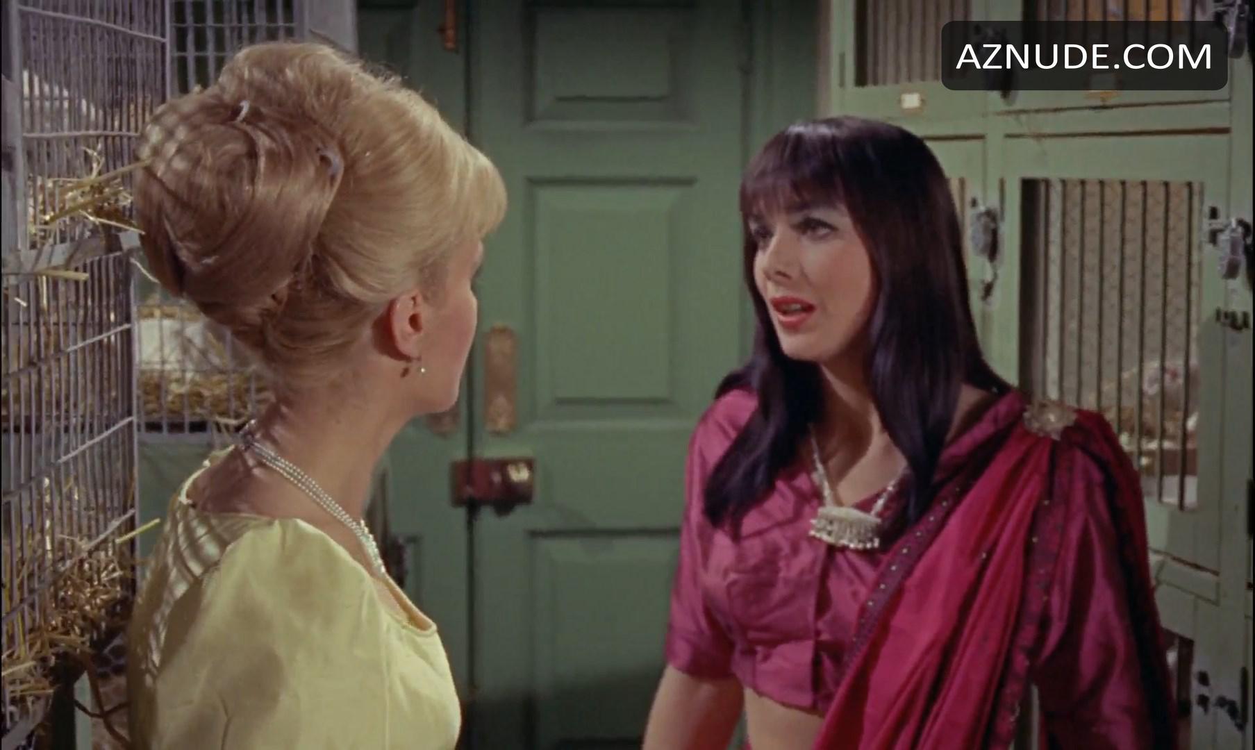 The Reptile in Unsorted, photo 51