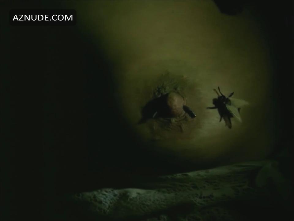 Vocacion De Martirio in Unsorted, photo 9
