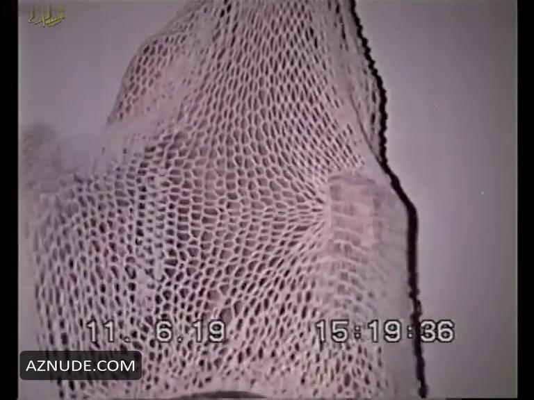 Weave Of Distance in Unsorted, photo 1
