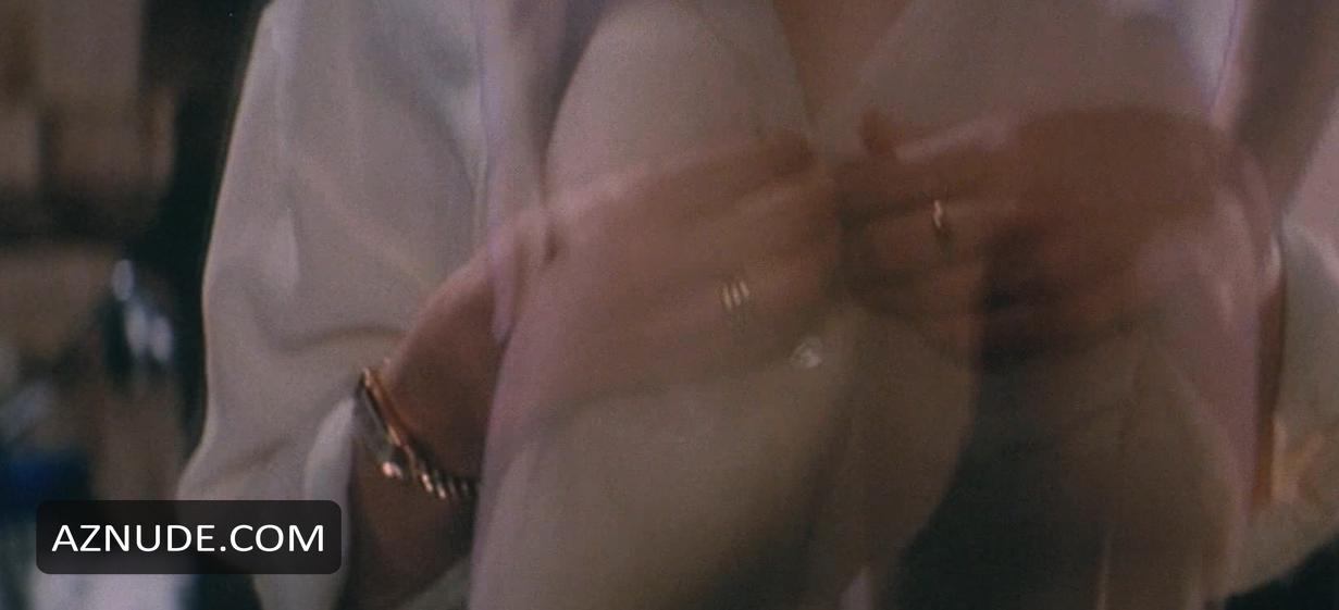 Year Of The Comet in Unsorted, photo 3