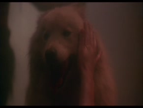 Sabrina Siani in Conquest