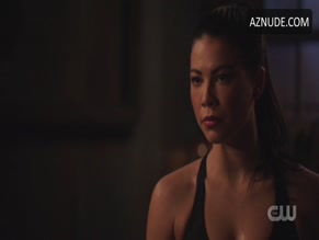 Sea Shimooka in Arrow