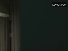Sofia Helin in The Bridge