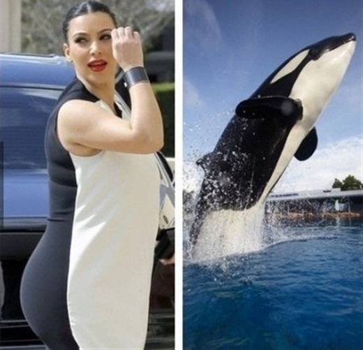 Kim Kardashian, photo 637