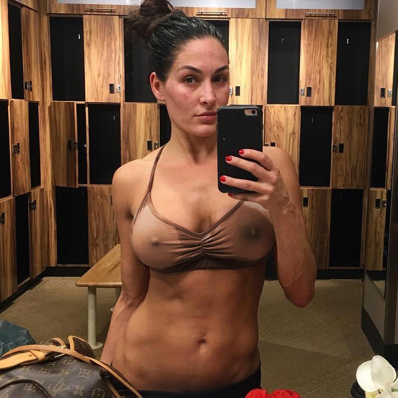 Nikki Bella, photo 0