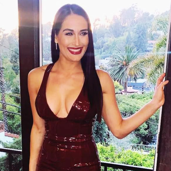 Nikki Bella, photo 86