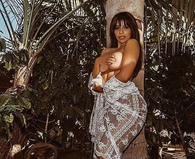 Vida Guerra, photo 112