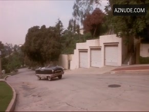 Teri Hatcher in The Big Picture
