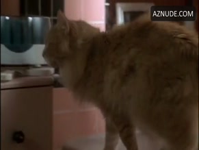 Veronica Hart in Six Feet Under