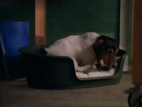 Laura Fraser in Divorcing Jack
